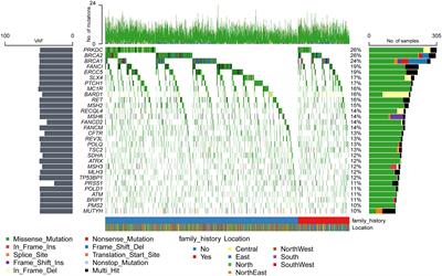 Mutation characteristics of cancer susceptibility genes in Chinese ovarian cancer patients